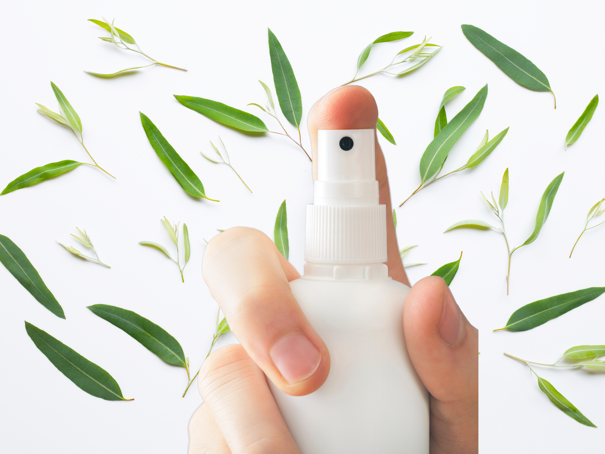 Colección de Sprays Ambientales y Textiles Fresh & Clean – Aromas Frescos, Ligeros y Revitalizantes