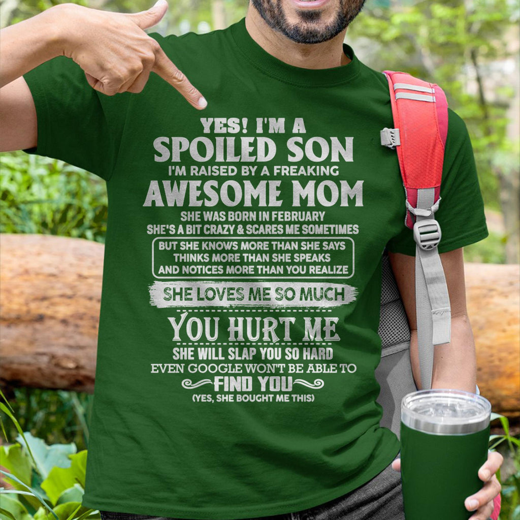 February - Awesome Mom - Perfect Gift For Your Spoiled Son From Mom - NGHL02 (SKU05-47-02)
