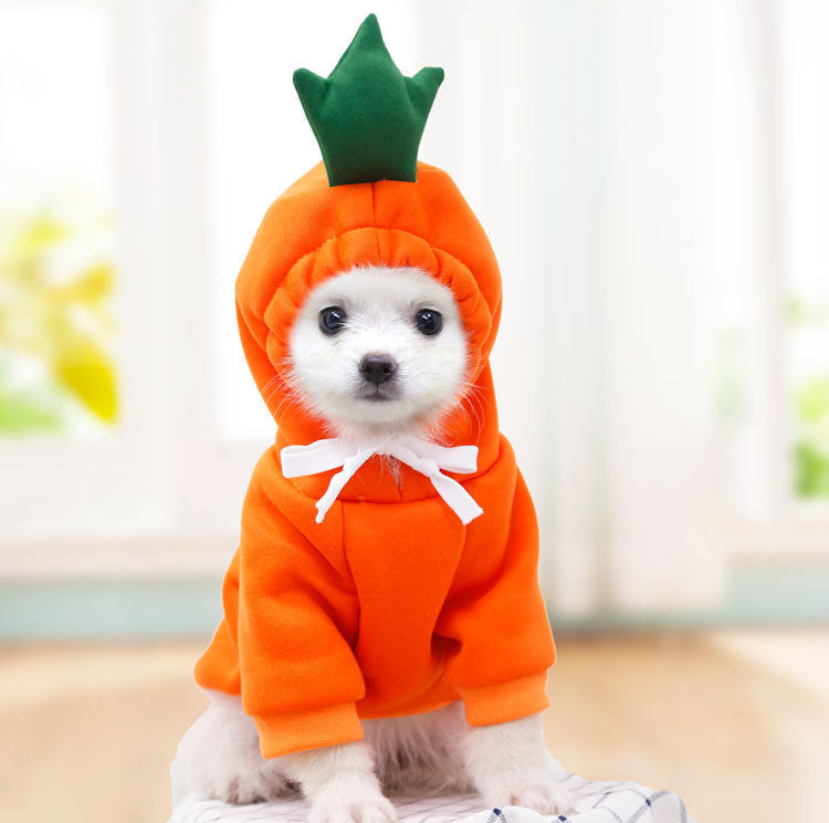 Sudadera con capucha para perro «Cute Fruit» — 7 estilos, tallas XS–2XL