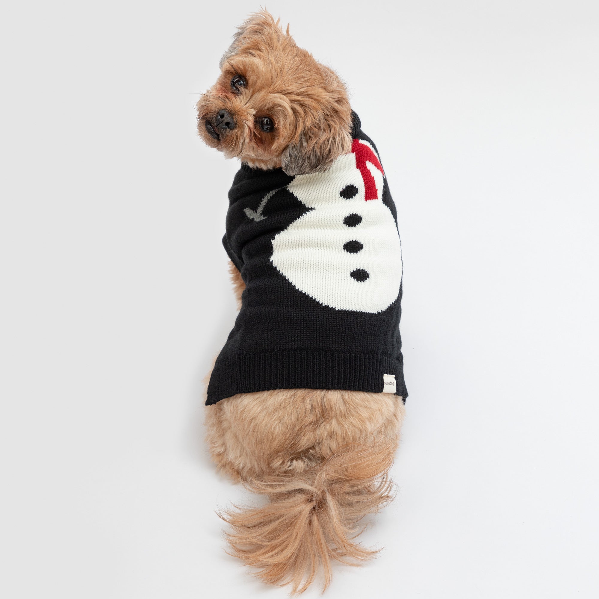 Suéter navideño acogedor para mascotas