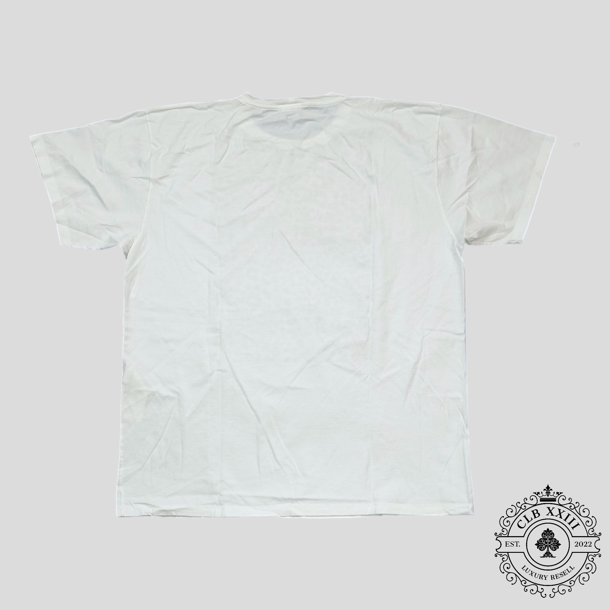 Camiseta Celine Homme con logotipo y estampado de leopardo en blanco