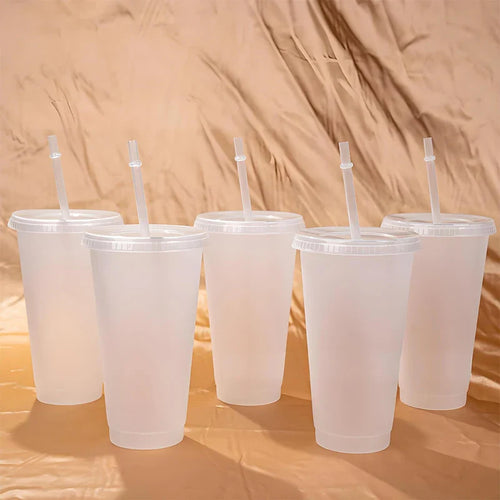 710ml Color Changing Straw Mug | Insulated Reusable Plastic Cup with Lid
