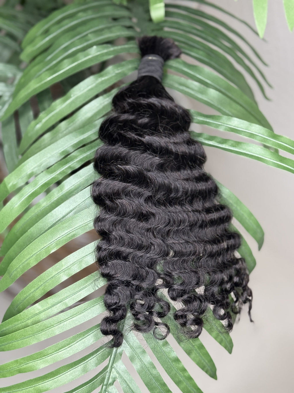 Burmese rizado
