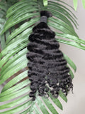 Burmese rizado