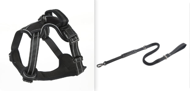 Chaleco Reflectante Antijaloneos para Perros — Opciones Individuales y en Set